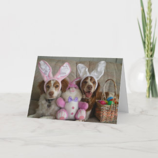 EASTER BRITTANYS HOLIDAY CARD