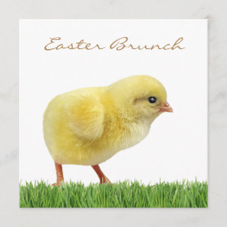 easter brunch square 5.25" x 5.25" Invitations