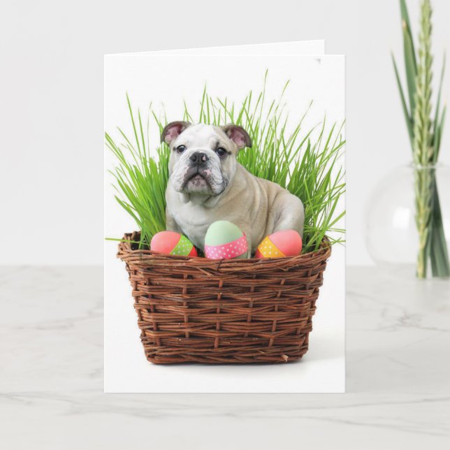 Easter bulldog holiday card (Front)