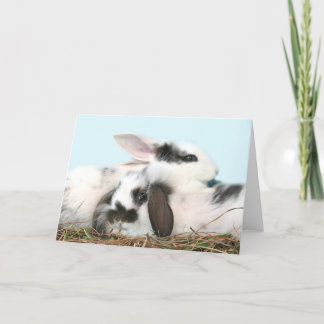 Easter bunnies holiday card