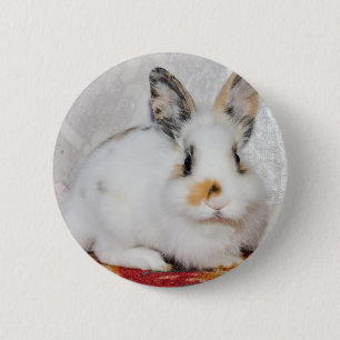 Easter Bunny 6 Cm Round Badge