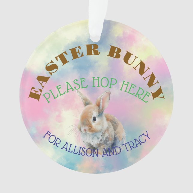 Easter Bunny Acrylic Ornament (Front)