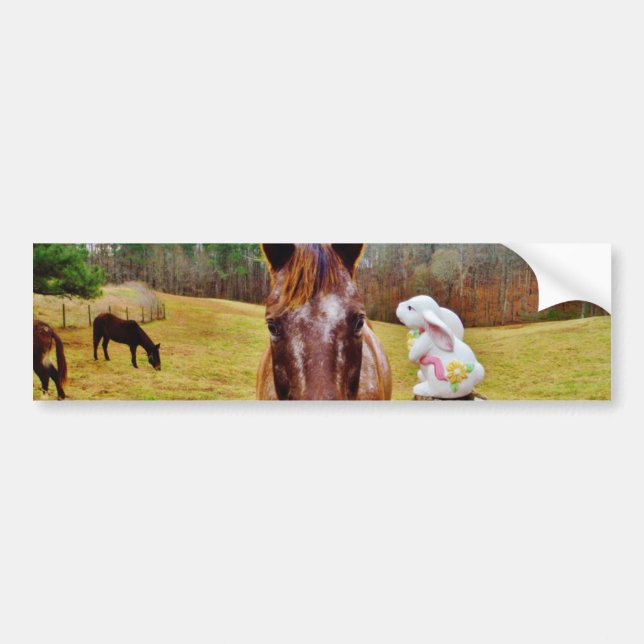 Easter Bunny and Brown horse Bumper Sticker (Front)