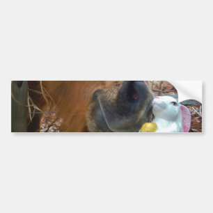 Easter Bunny and Brown horse Bumper Sticker