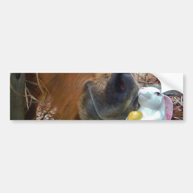 Easter Bunny and Brown horse Bumper Sticker (Front)