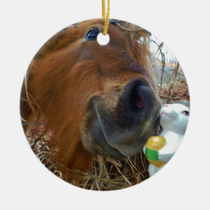 Easter Bunny and Brown horse Ceramic Tree Decoration