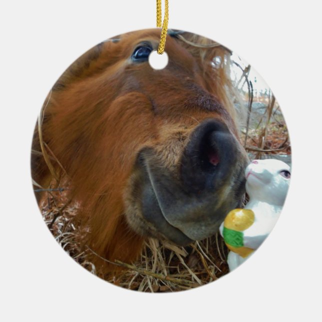 Easter Bunny and Brown horse Ceramic Tree Decoration (Front)