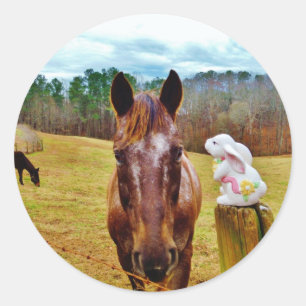 Easter Bunny and Brown horse Classic Round Sticker