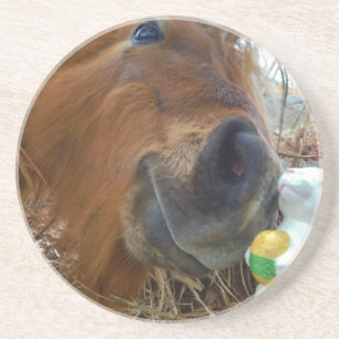 Easter Bunny and Brown horse Coaster