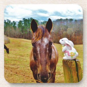 Easter Bunny and Brown horse Coaster