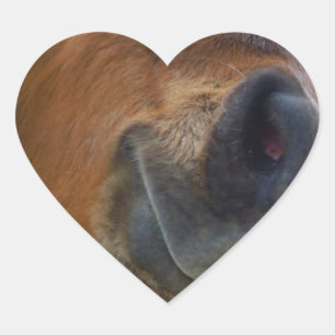 Easter Bunny and Brown horse Heart Sticker