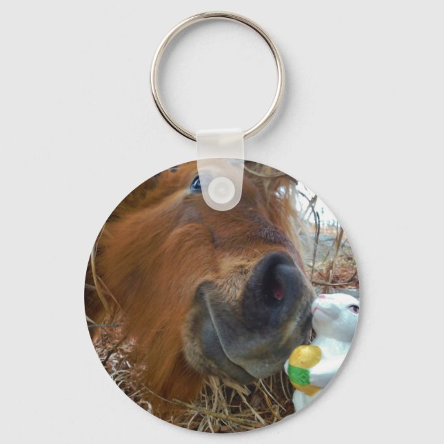Easter Bunny and Brown horse Key Ring (Front)