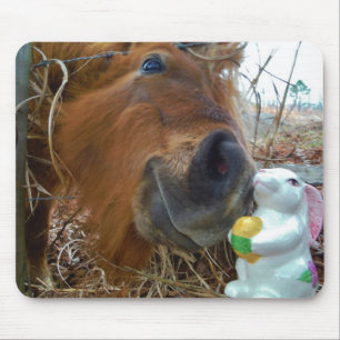 Easter Bunny and Brown horse Mouse Mat