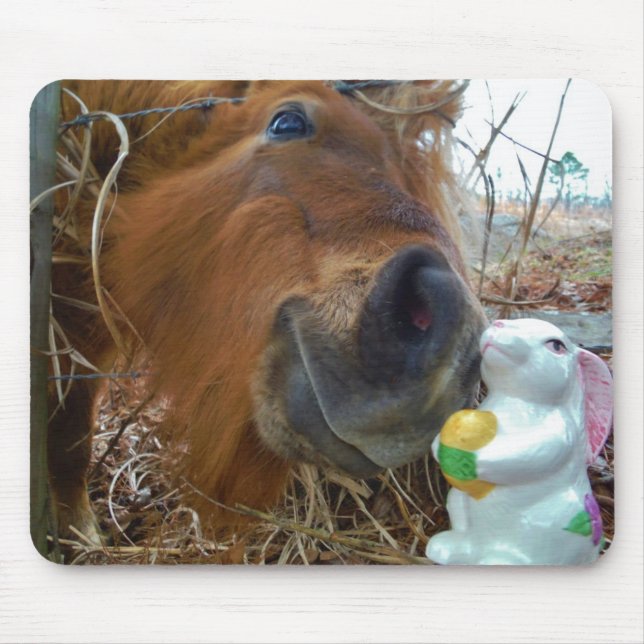 Easter Bunny and Brown horse Mouse Mat (Front)