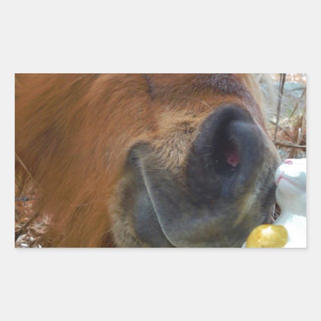 Easter Bunny and Brown horse Rectangular Sticker (Front)