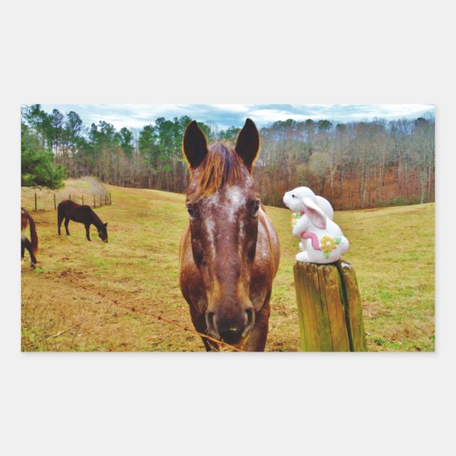 Easter Bunny and Brown horse Rectangular Sticker (Front)