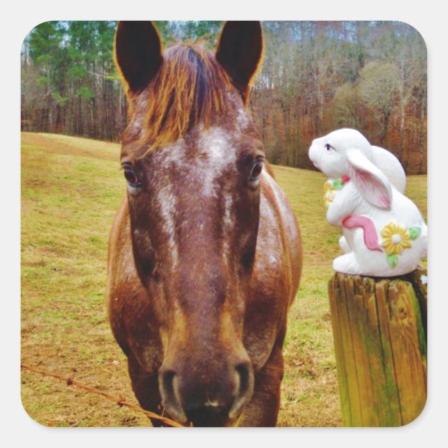 Easter Bunny and Brown horse Square Sticker (Front)