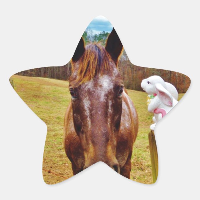 Easter Bunny and Brown horse Star Sticker (Front)