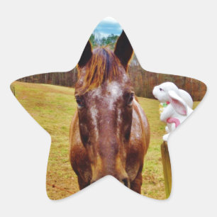 Easter Bunny and Brown horse Star Sticker