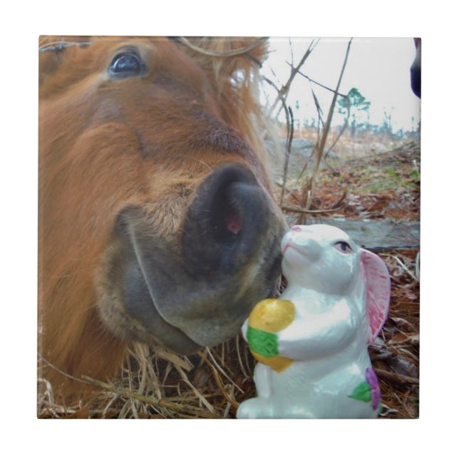 Easter Bunny and Brown horse Tile (Front)