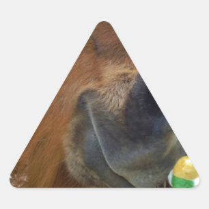 Easter Bunny and Brown horse Triangle Sticker