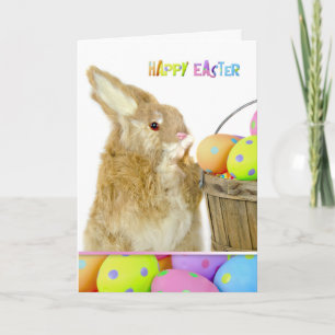Easter Bunny and Eggs Holiday Card