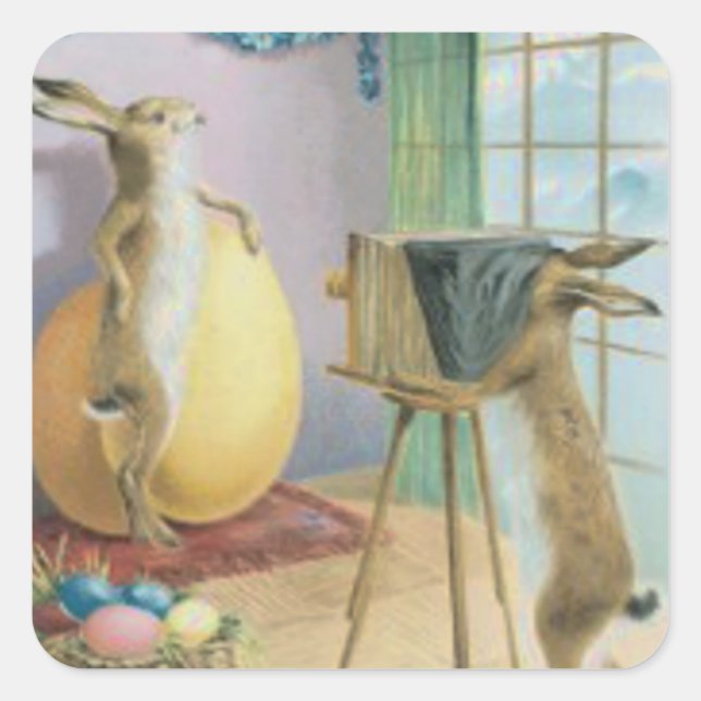 Easter Bunny Camera Photography Easter Coloured Eg Square Sticker (Front)