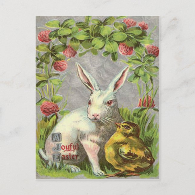 Easter Bunny Chick Shamrock Holiday Postcard (Front)