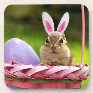 Easter Bunny Chipmunk Coaster
