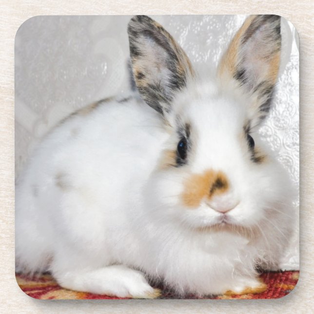 Easter Bunny Coaster (Front)