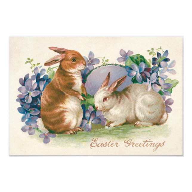 Easter Bunny Coloured Egg Forget-Me-Not Photo Print (Front)