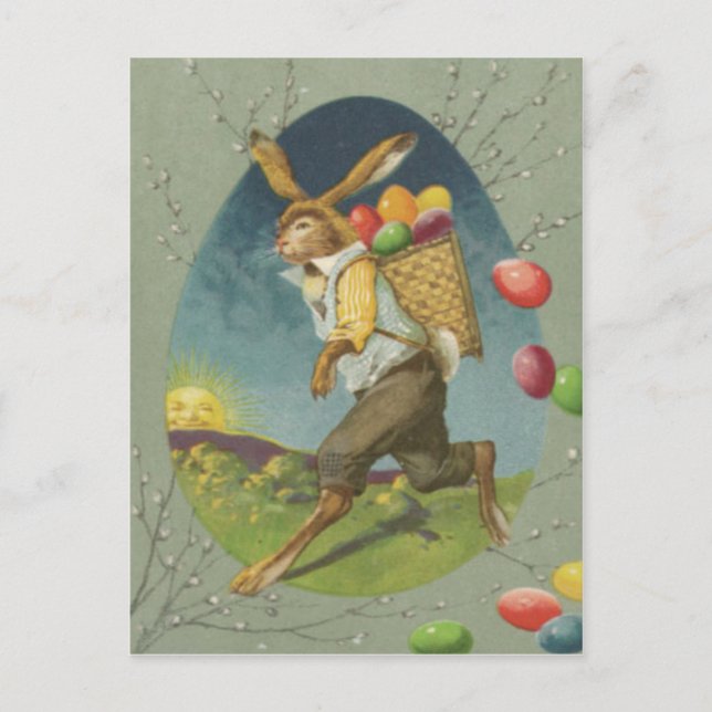 Easter Bunny Coloured Egg Sun Holiday Postcard (Front)