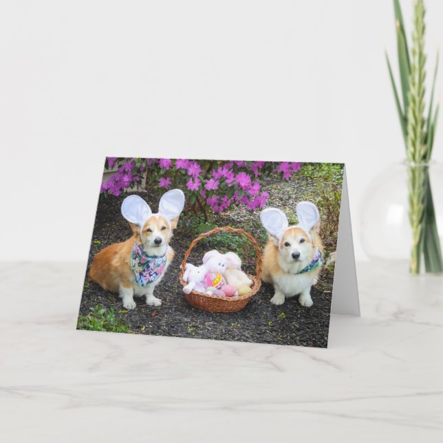 Easter Bunny Corgis greeting Card (Front)