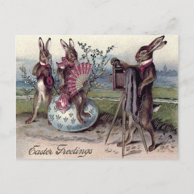 Easter Bunny Couple Camera Egg Holiday Postcard (Front)