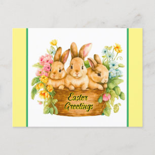 Easter Bunny Greetings Postcard