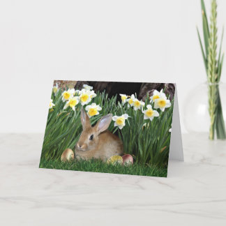 Easter Bunny Holiday Card