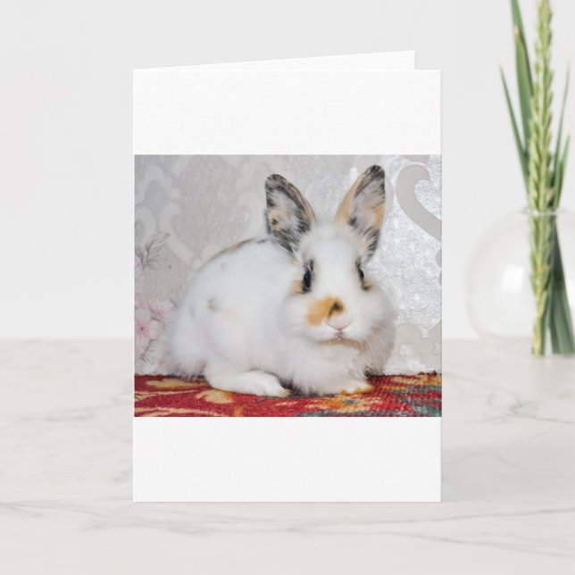 Easter Bunny Holiday Card (Front)