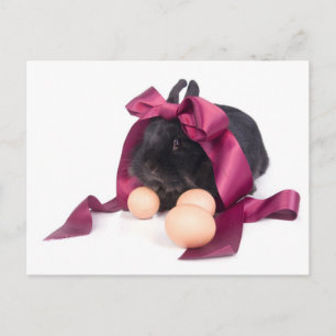 Easter Bunny Holiday Postcard