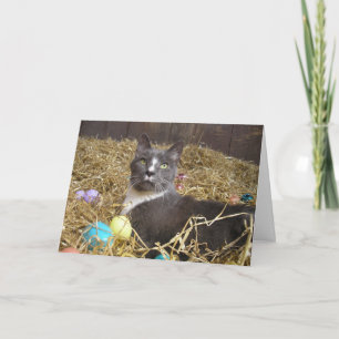 Easter Bunny in Disguise Card