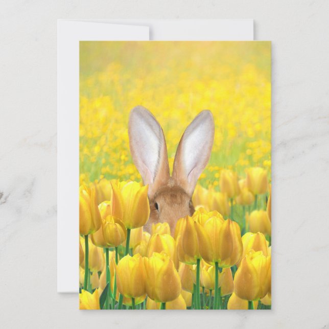 Easter bunny in tulips holiday card (Front)