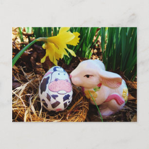 Easter Bunny kissing Cow Egg Holiday Postcard