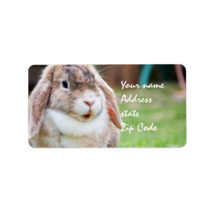 Easter Bunny Label