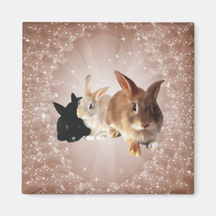 Easter Bunny Magic Magnet