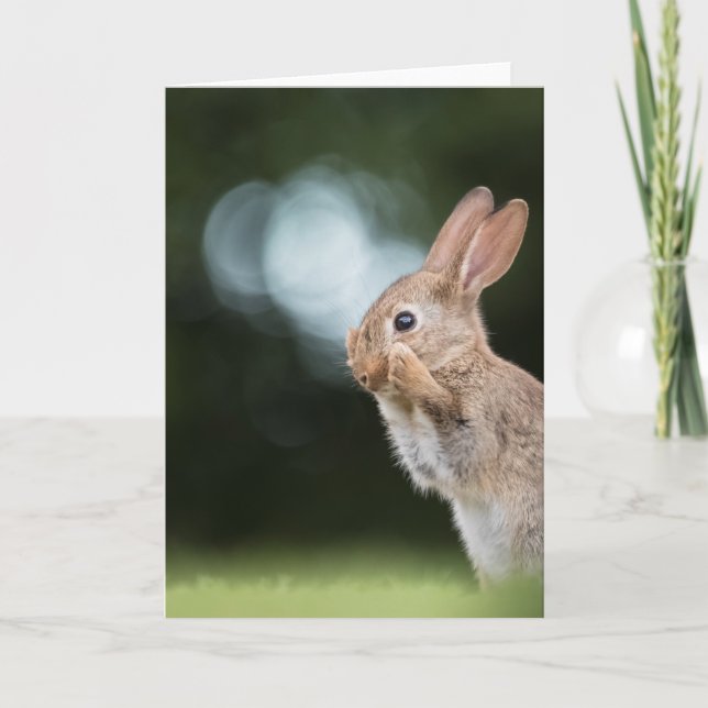 Easter Bunny Nature Photo Card (Front)