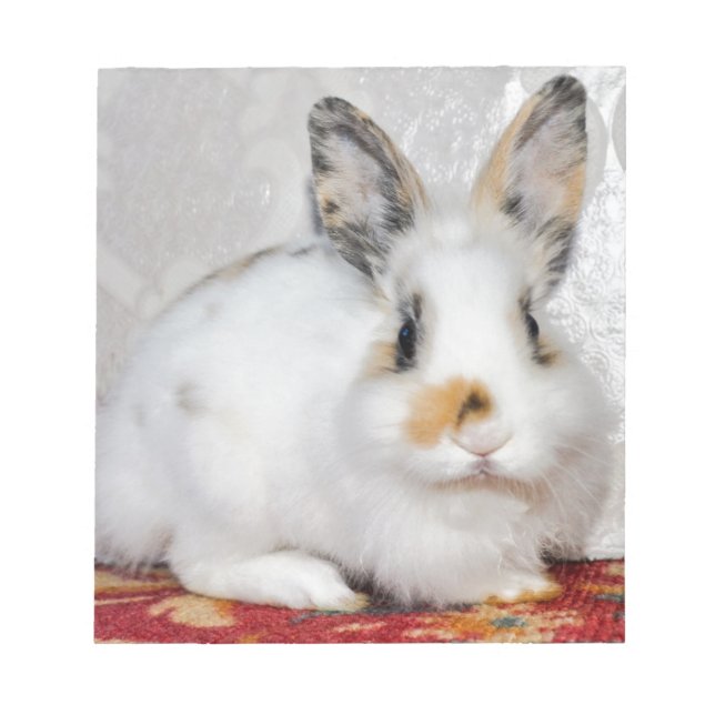 Easter Bunny Notepad (Front)