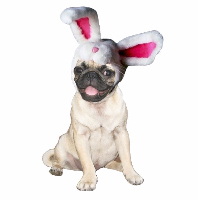 easter bunny pug photo sculpture magnet (Front)