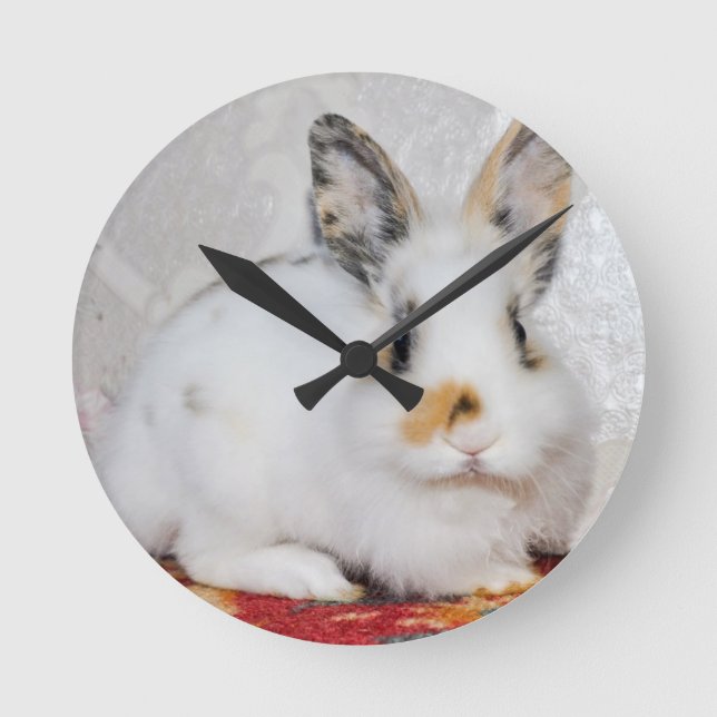 Easter Bunny Round Clock (Front)