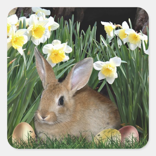 Easter Bunny Square Sticker (Front)