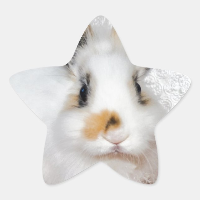 Easter Bunny Star Sticker (Front)