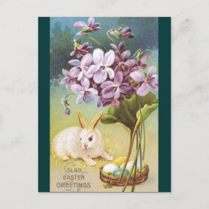 Easter Bunny & Violets Holiday Postcard